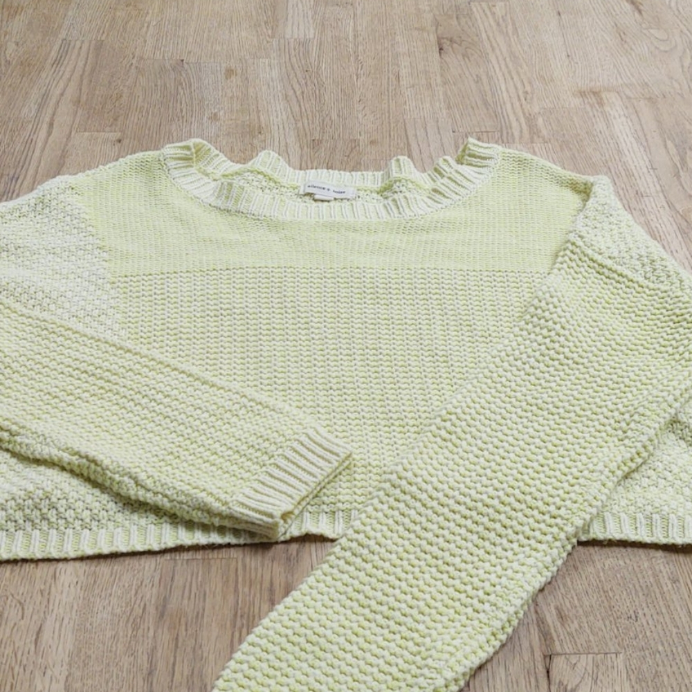 Silence + noise crop top sweater.